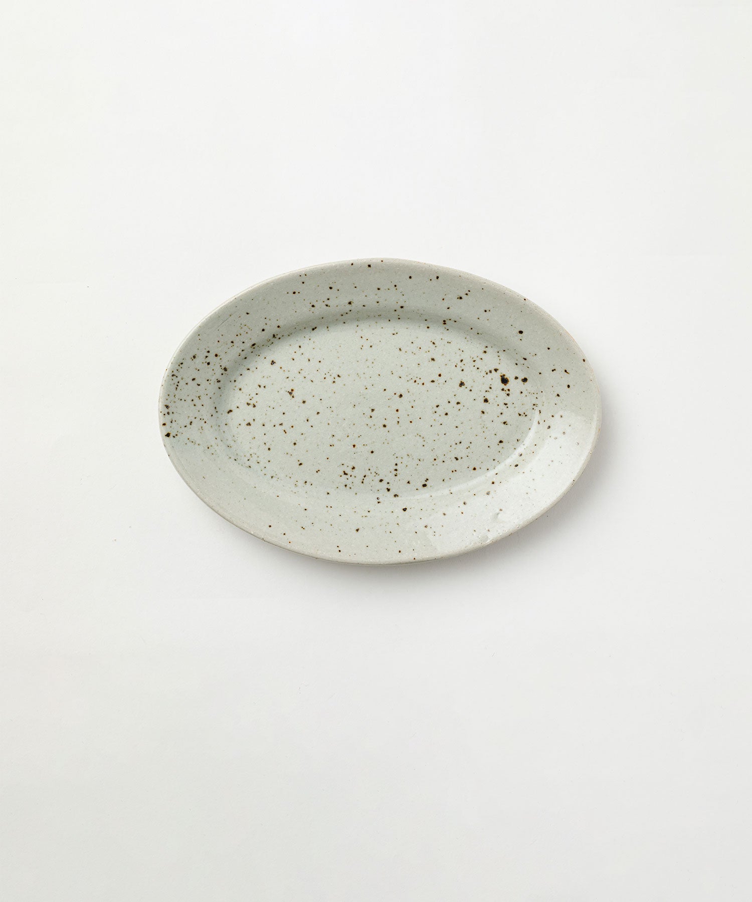 斑点　24cm