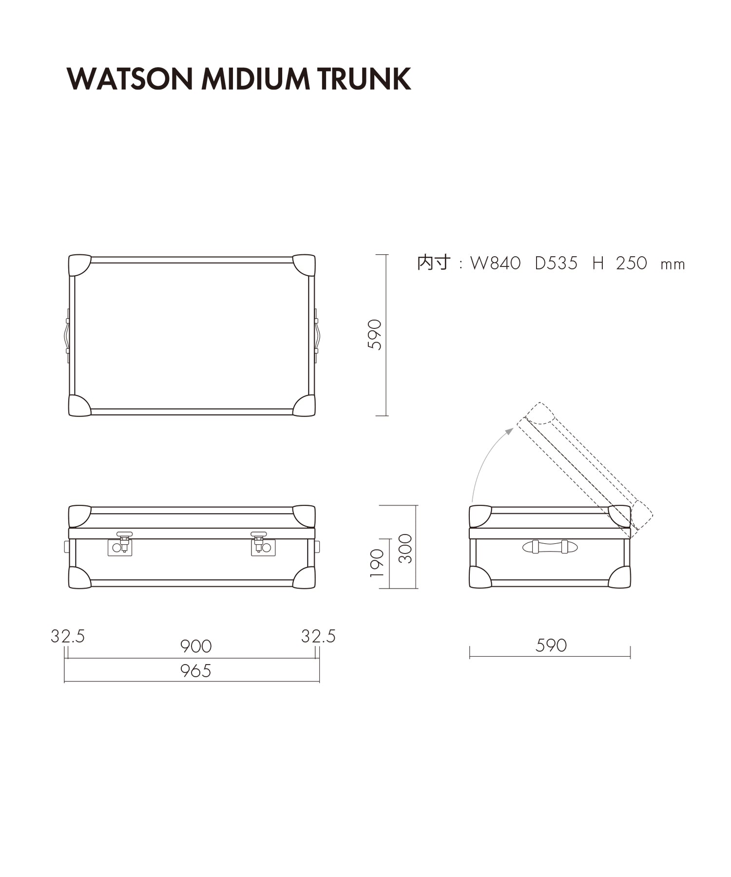 WATSON MEDIUM TRUNK