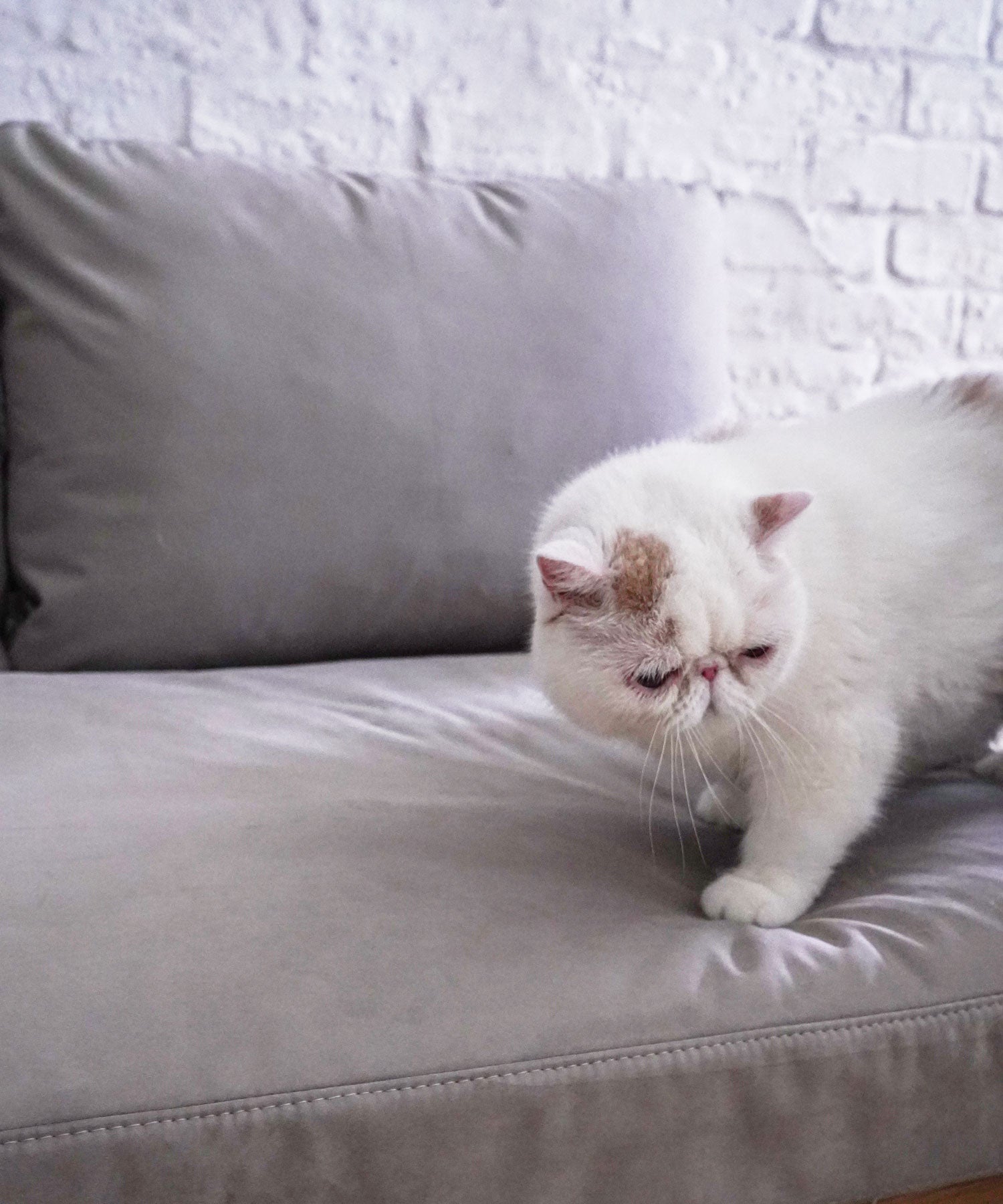 EPI COUCH SOFA OAK