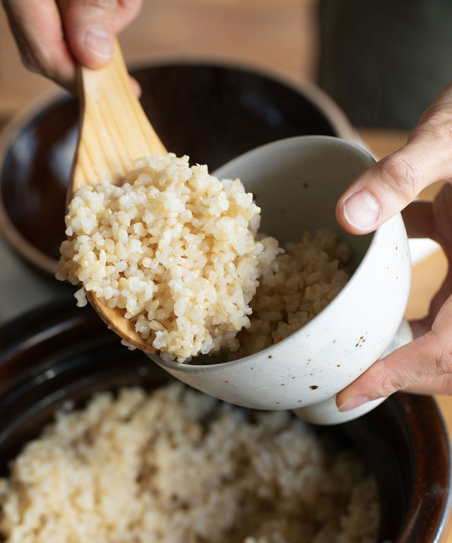 信楽焼  飯碗