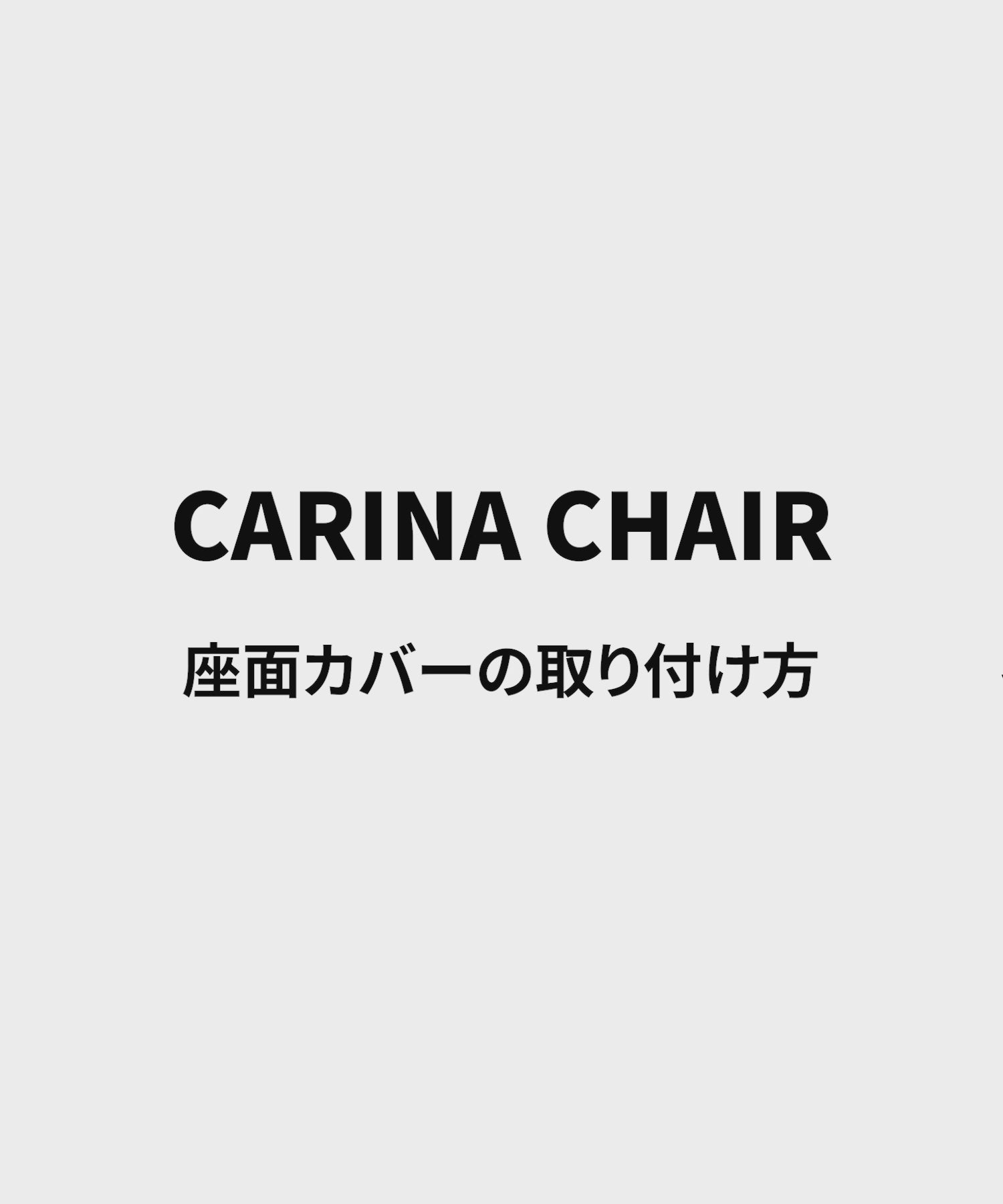 【カバーのみ】 CARINA CHAIR COVER