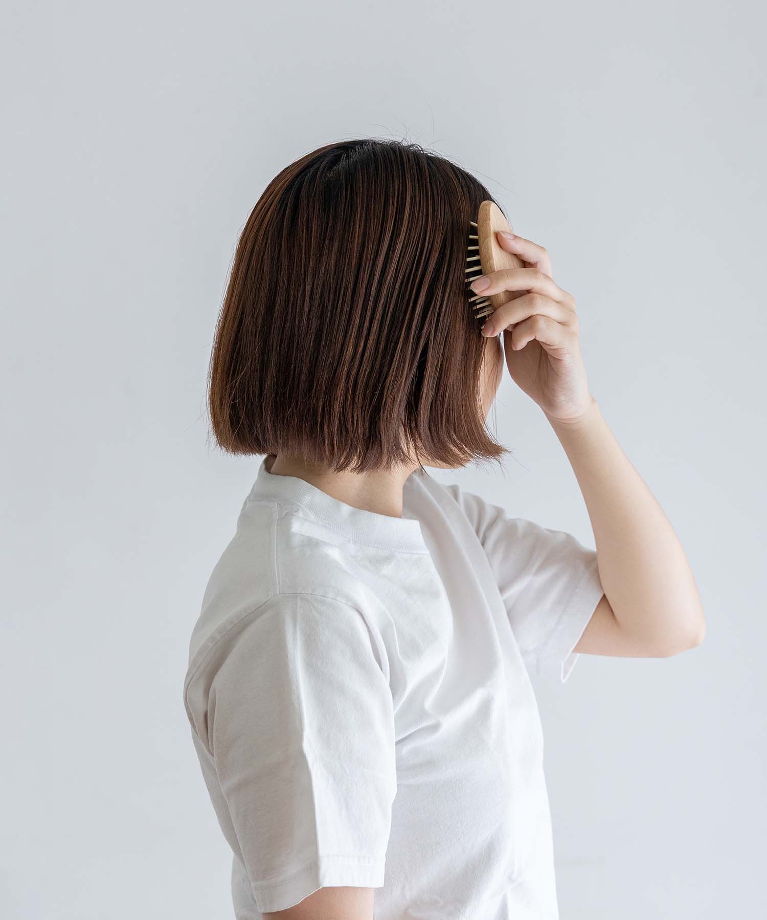 ハリネズミのポケットヘアブラシ
