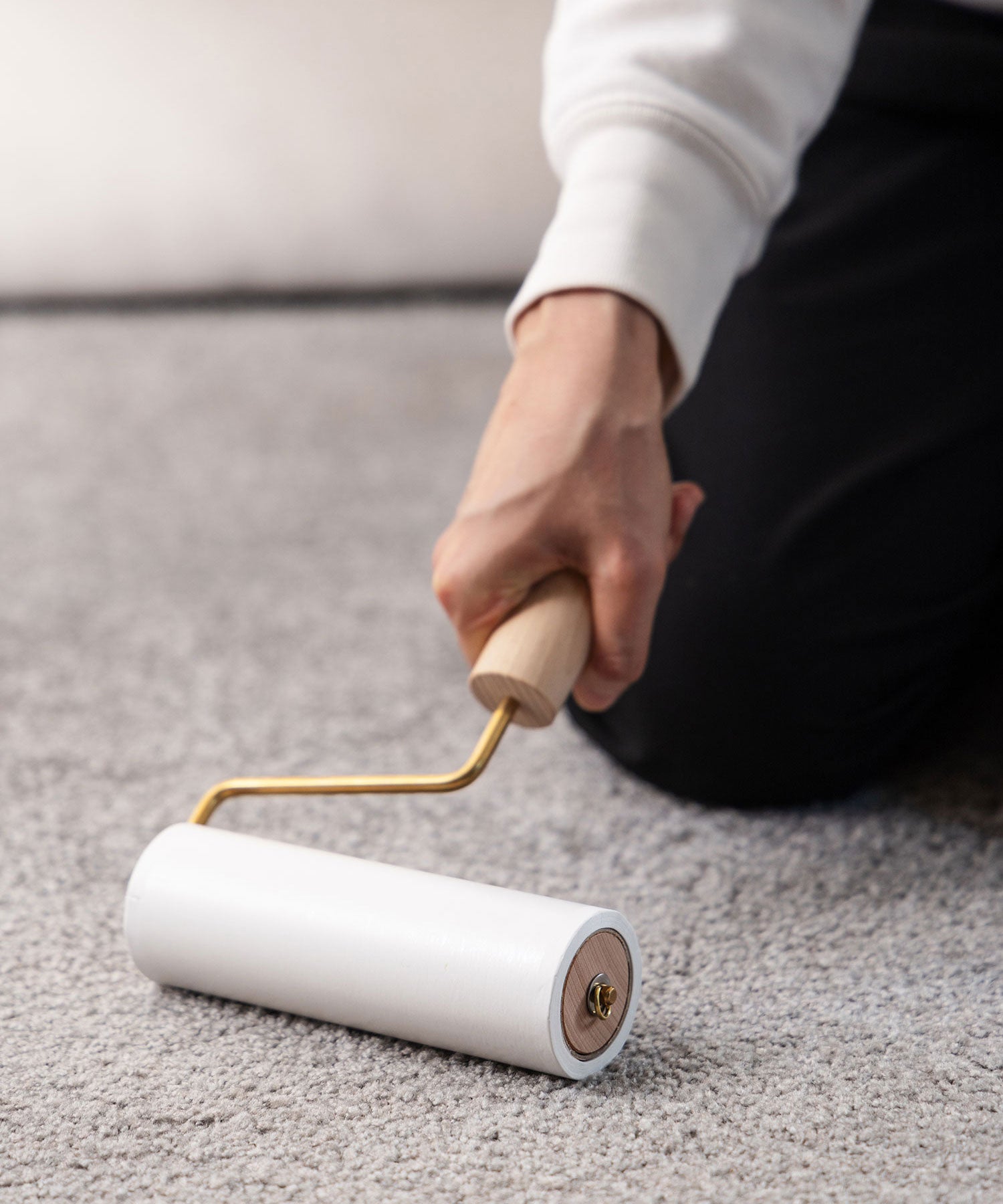 ROLLER CLEANER