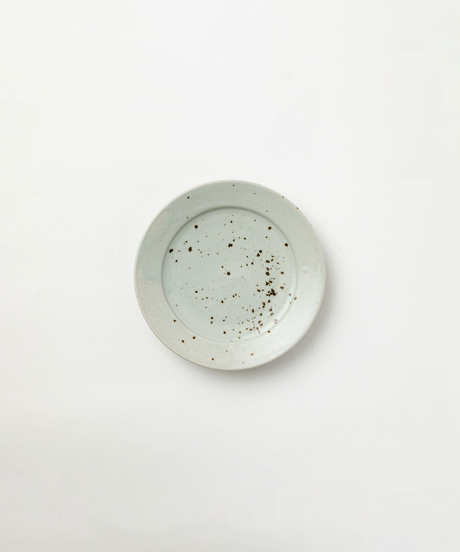 斑点　18cm